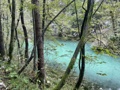 slika dogodka